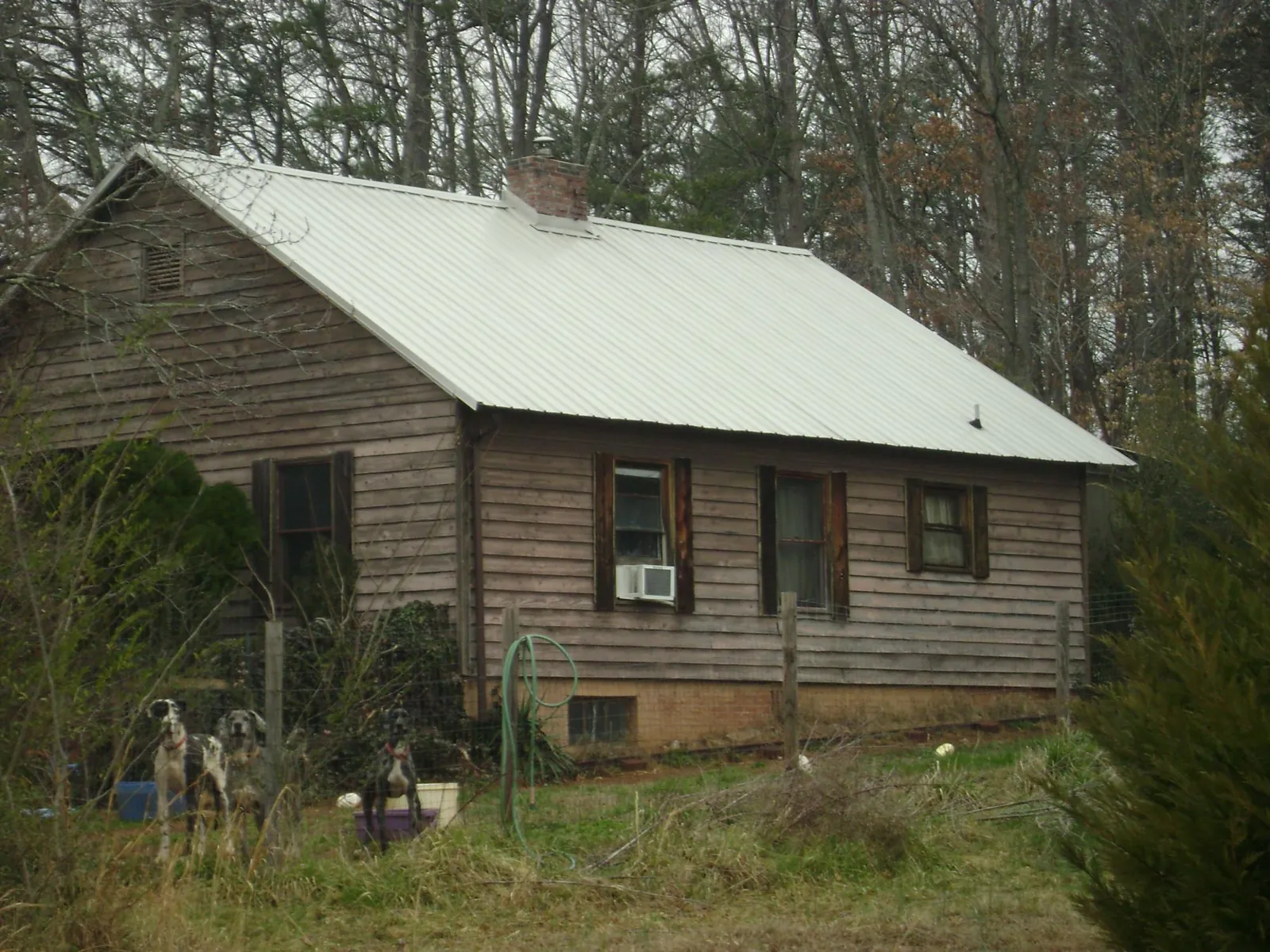 White metal roof on an old wood sided farmhouse, from a Metal Roof Installation job in Falconer